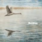 Heiden - A kdybys už nebyla, vymyslím si tě